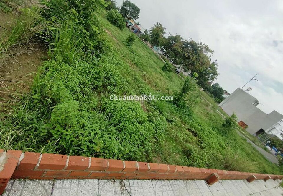 Ra nhanh nền đất 100m2 full thổ cư ngay chợ đêm Hắc Dịch, sỗ sẵn 800Tr