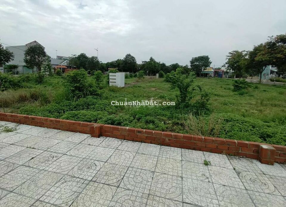 Đất ngộp ra gấp 100m² thổ vườn Vòng xoay Hắc Dịch sổ sẵn 800Tr