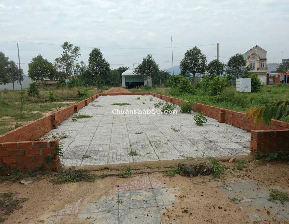 Đất ngộp ra gấp 100m² thổ vườn Vòng xoay Hắc Dịch sổ sẵn 800Tr