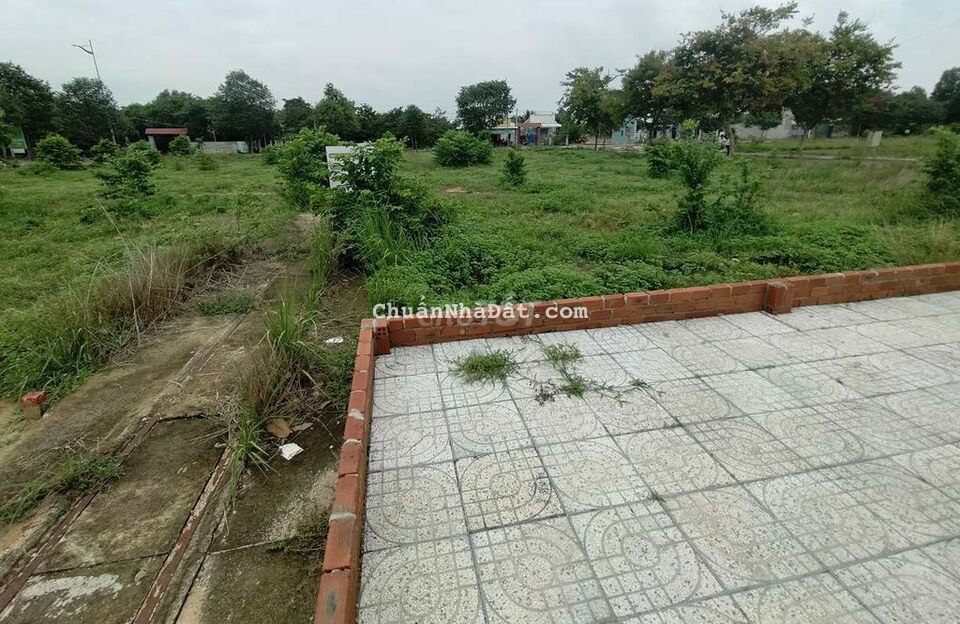 Ra nhanh nền đất 100m2 full thổ cư ngay chợ đêm Hắc Dịch, sỗ sẵn 800Tr