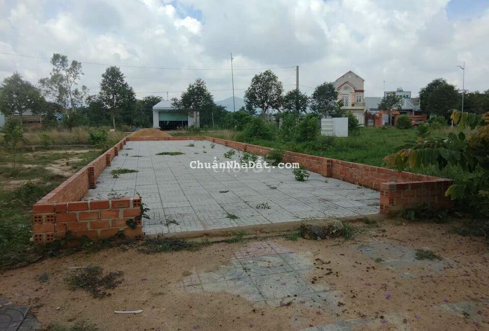 Ra nhanh nền đất 100m2 full thổ cư ngay chợ đêm Hắc Dịch, sỗ sẵn 800Tr