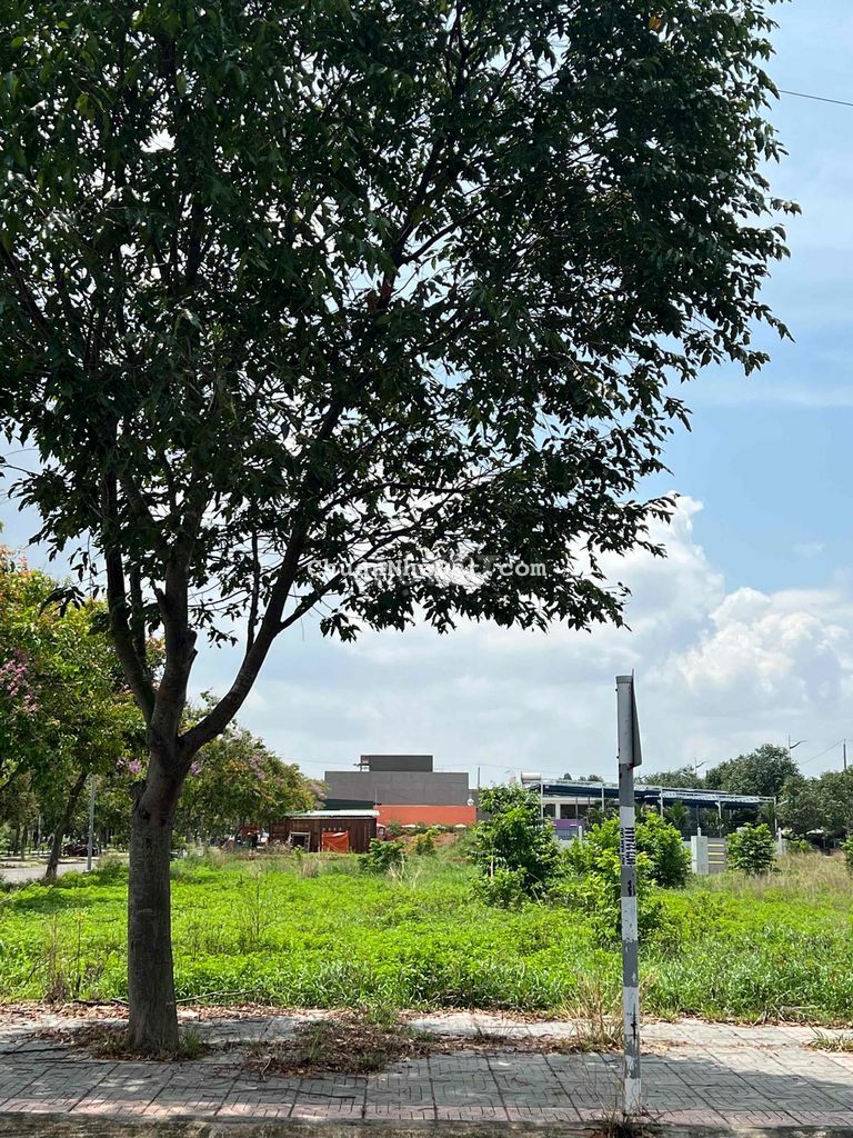 Ngộp banks ra gấp lô đất gần Cảng Cái Mép , 800 trệu, sổ sẵn 100m2