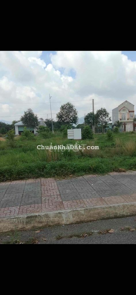 Bán nhanh miếng đất gần nhà thờ Song Vĩnh, 150m2, sổ sắn 1,2 tỷ