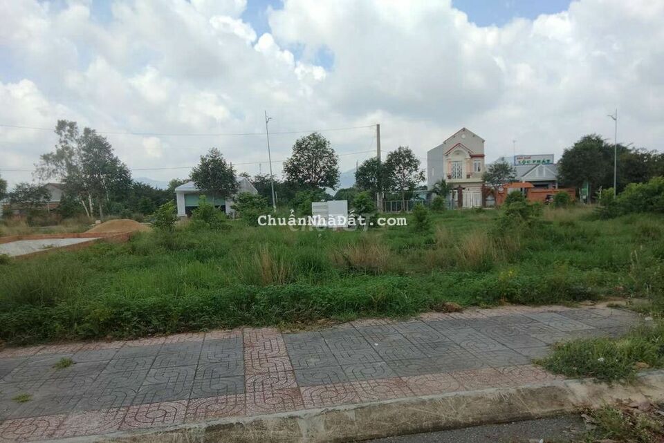 Đất ngộp bán gấp 191m² thổ vườn Hắc Dịch Phú Mỹ giá 1 Tỷ