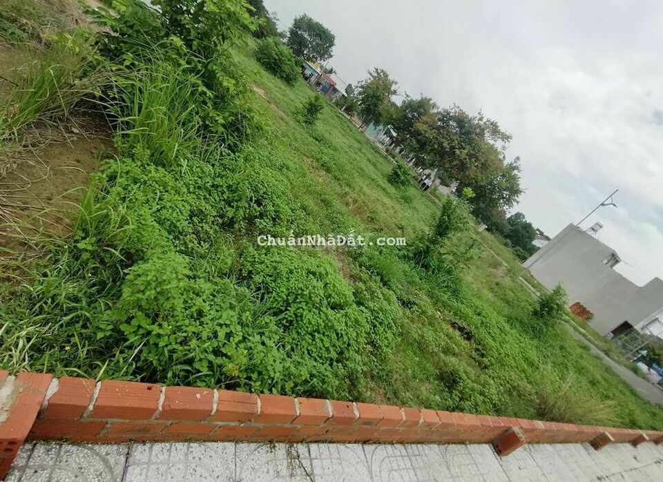 Ngộp bank ra gấp đất thổ vườn 191m² ngay trung tâm Phú Mỹ sổ sẵn 900Tr Ngộp bank ra gấp đất thổ vườn 191m² ngay trung tâm Phú Mỹ sổ sẵn 900Tr