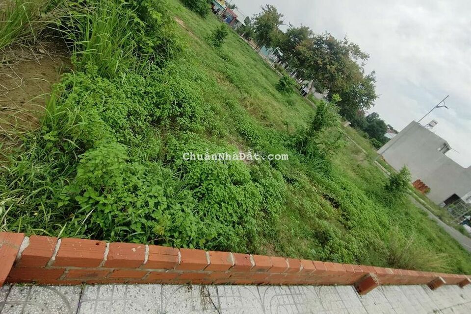 Đất ngộp cần bán 193m² thổ vườn sổ sẵn trung tâm Phú Mỹ 850Tr