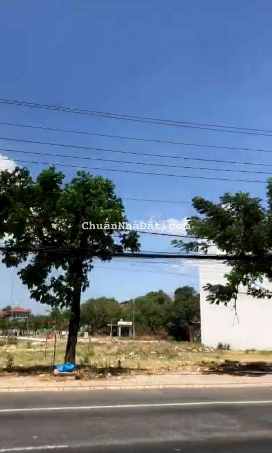 Đất ngộp bán gấp 193m² đất thổ vườn sổ sẵn Trung tâm Phú Mỹ 950Tr Đất ngộp bán gấp 193m² đất thổ vườn sổ sẵn Trung tâm Phú Mỹ 950Tr