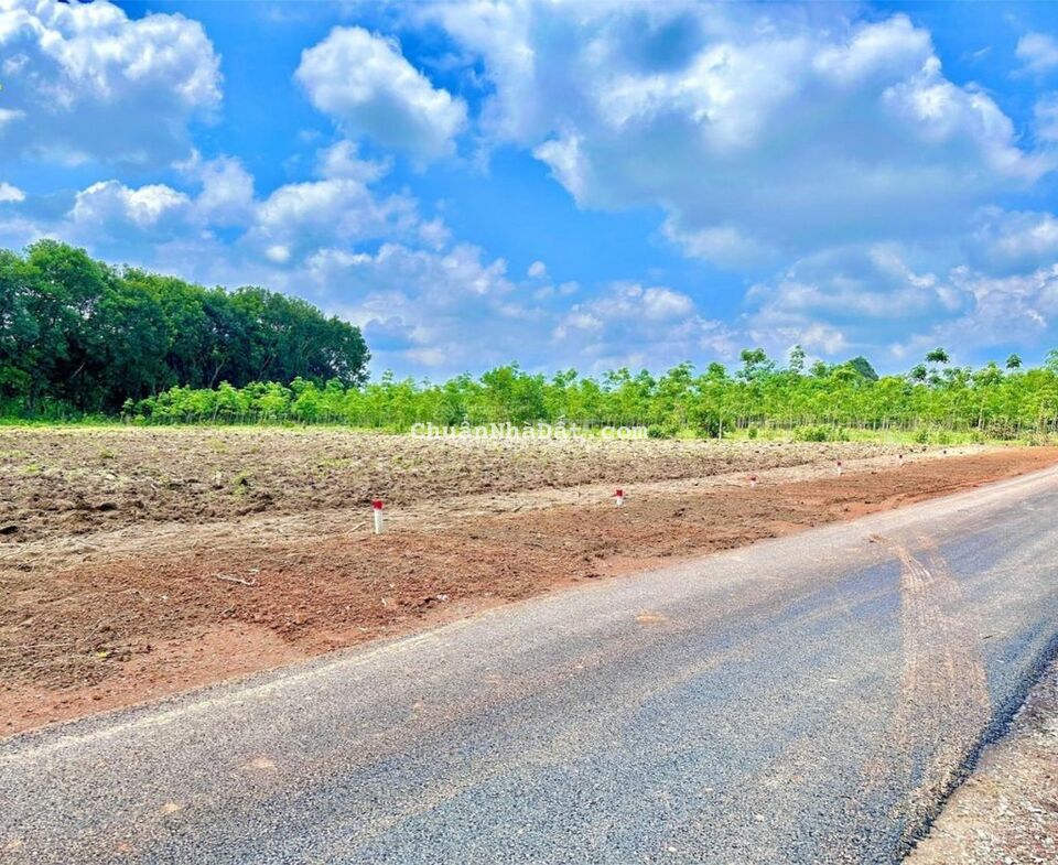 Đất nền thổ cư gần kcn Long Bình, Phú Riềng, giá rẻ