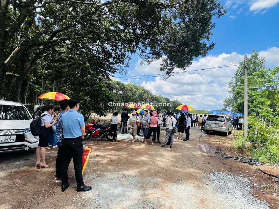 Bán lô đất 248,7m2 gần KCN Long Bình, Phú Riềng, Bình Phước.