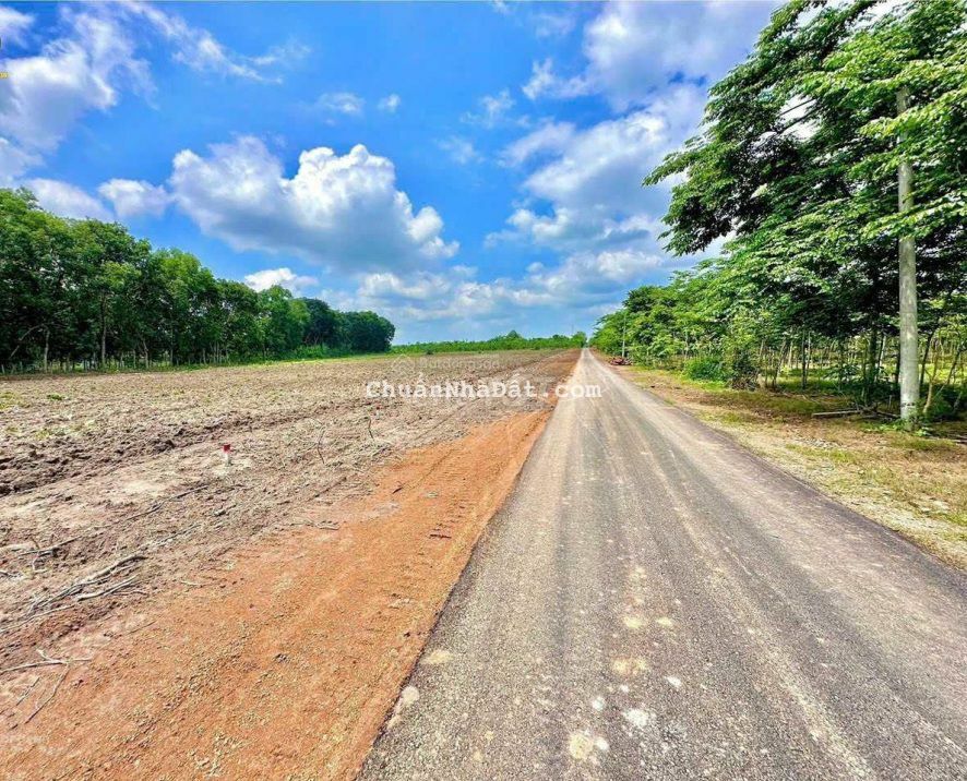 Đất nền thổ cư gần kcn Long Bình, Phú Riềng, giá rẻ