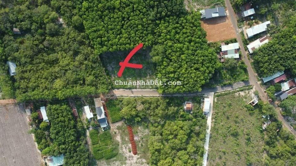 Đất mặt tiền nhựa 12M, gần  khu du lịch mà giá chưa tới 300tr