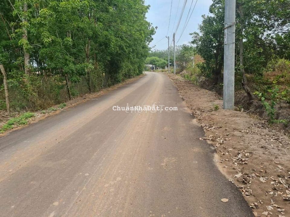 Đất mặt tiền nhựa 12M, gần  khu du lịch mà giá chưa tới 300tr