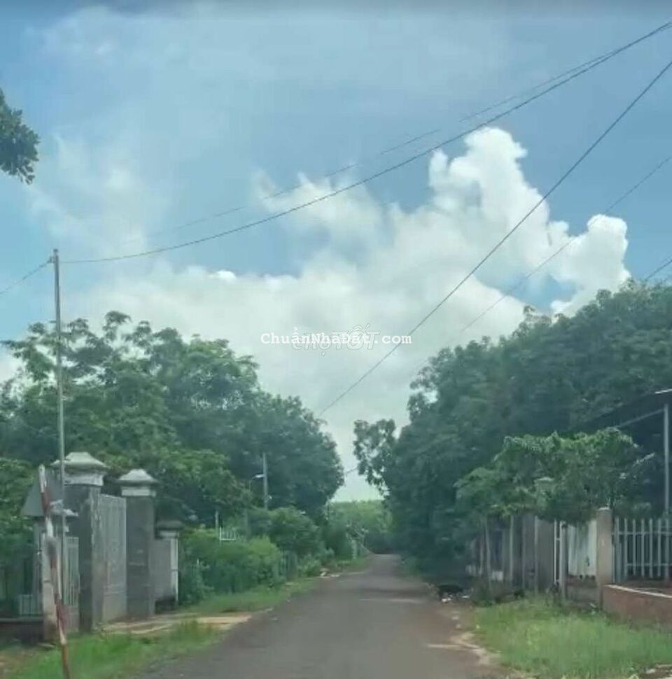 🏜Chỉ 18.5km/m2_RẺ SẬP SÀN_Bán đất sào Bình Phước Giá rẻ 🏜Chỉ 18.5km/m2_RẺ SẬP SÀN_Bán đất sào Bình Phước Giá rẻ