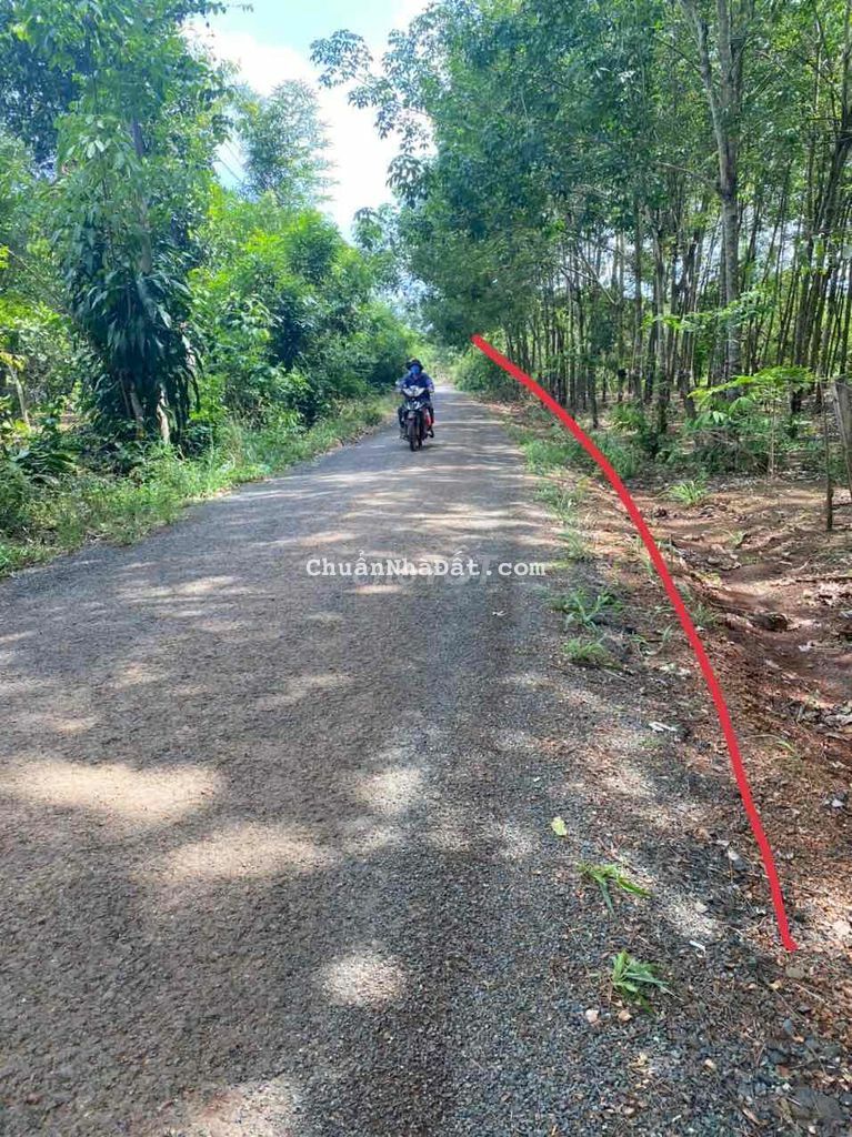 PHÚ RIỀNG BP: 554m MT NHỰA GẦN CHỢ BÁN LỖ