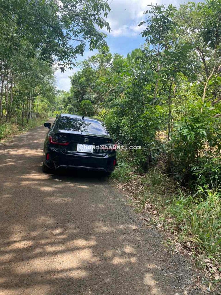 PHÚ RIỀNG BP: 554m MT NHỰA GẦN CHỢ BÁN LỖ