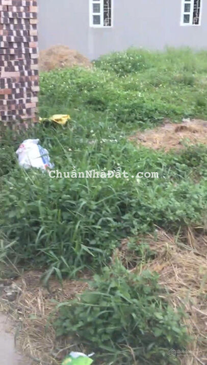 Cần tiền gấp bán mảnh đất chính chủ huyện Phú Xuyên, ô tô vào nhà. Giá bán cắt lỗ 500triệu = 1.35tỷ Cần tiền gấp bán mảnh đất chính chủ huyện Phú Xuyên, ô tô vào nhà. Giá bán cắt lỗ 500triệu = 1.35tỷ