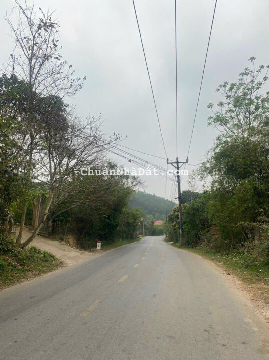 0982994996 bán mảnh mặt tiền đường Hoàng Hoa Thám giá 5.5 triệu/ m2 0982994996 bán mảnh mặt tiền đường Hoàng Hoa Thám giá 5.5 triệu/ m2