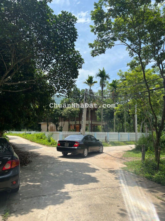 0982994996 chính chủ e bán 4477 m2 đất sổ đỏ làm nhà nghỉ dưỡng giá 3.8 triệu/ m2 0982994996 chính chủ e bán 4477 m2 đất sổ đỏ làm nhà nghỉ dưỡng giá 3.8 triệu/ m2