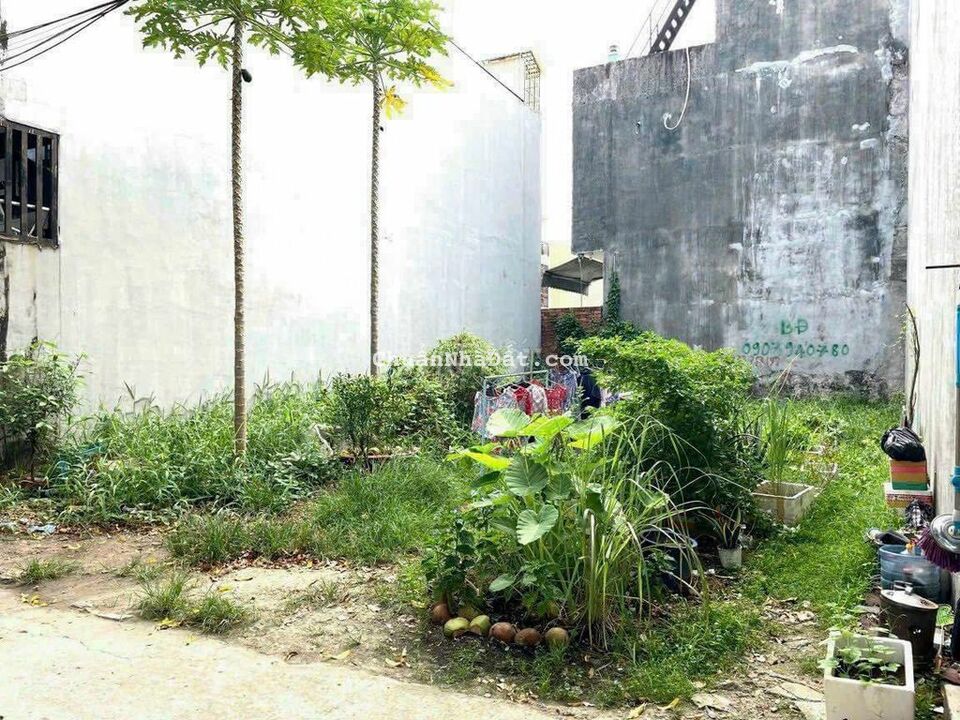 Đất Tân Thới Nhất Quận 12 Dt 60m2 Thổ Cư Bán Giá 600 Triệu Sổ Riêng Đất Tân Thới Nhất Quận 12 Dt 60m2 Thổ Cư Bán Giá 600 Triệu Sổ Riêng