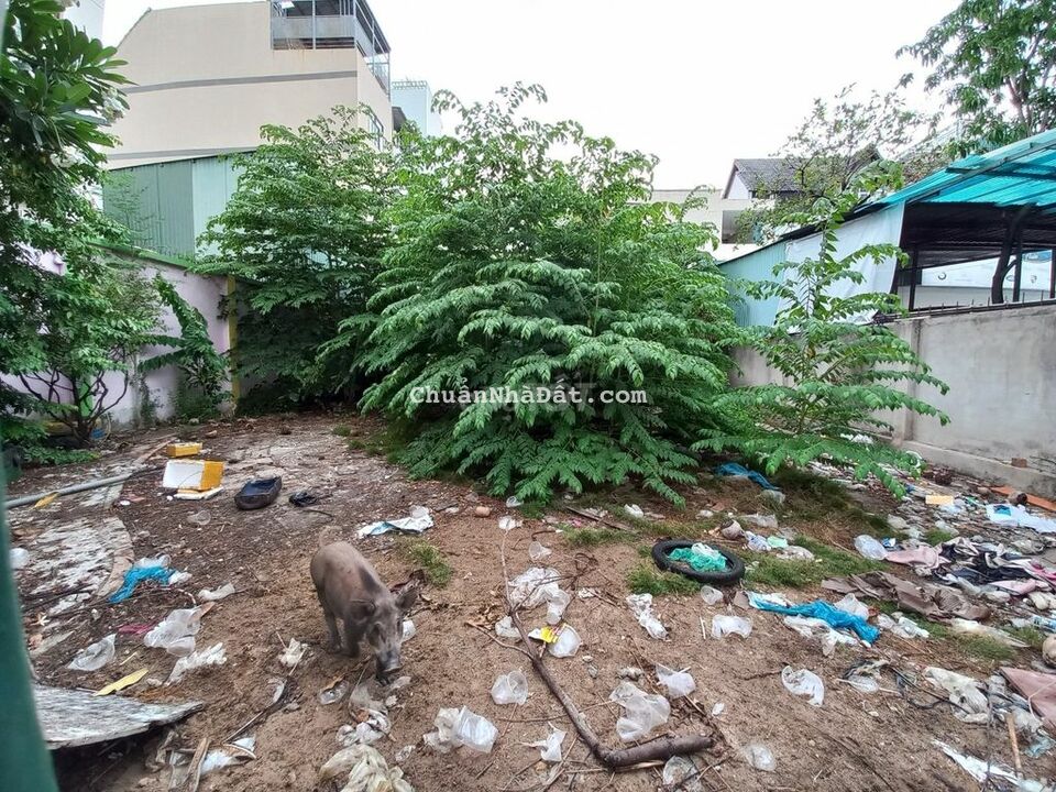 Cần bán gấp lô đất thổ cư 8,3x26m Kiều Đàm giá chốt 28 tỷ