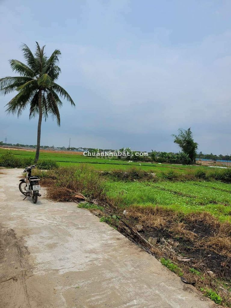 Cần bán 2 lô thôn Xuân Thượng,Quế Châu- Quế Sơn