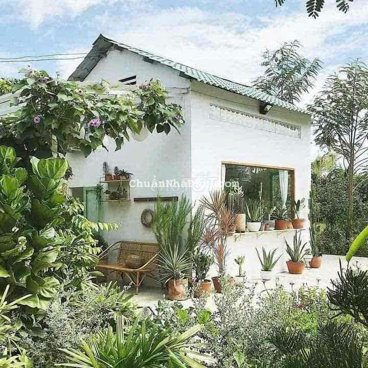 Chỉ với 320triệu sở hữu ngay biệt thự sân vườn với 200m2 ở Quốc Oai