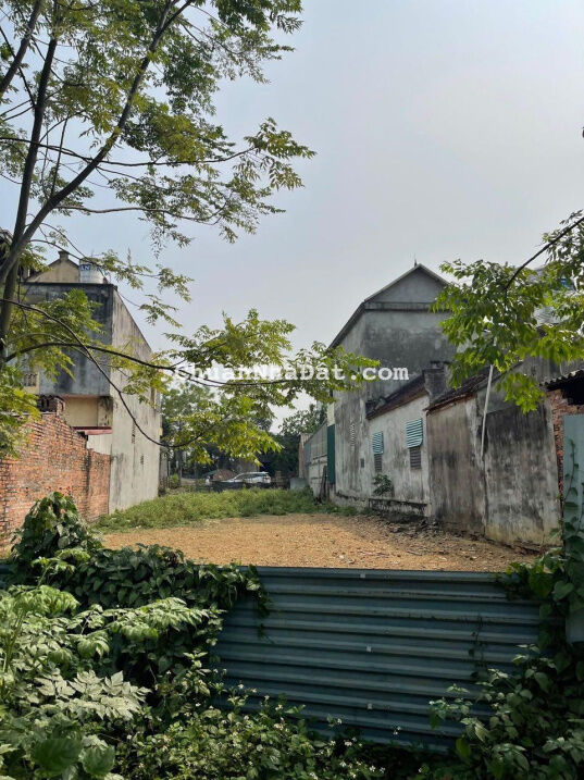 Đất 2 mặt đường Phú Cát, sát tổ hợp Y tế, cửa ngõ 2 khu CNC, cách ĐL Thăng Long chỉ 500m Đất 2 mặt đường Phú Cát, sát tổ hợp Y tế, cửa ngõ 2 khu CNC, cách ĐL Thăng Long chỉ 500m