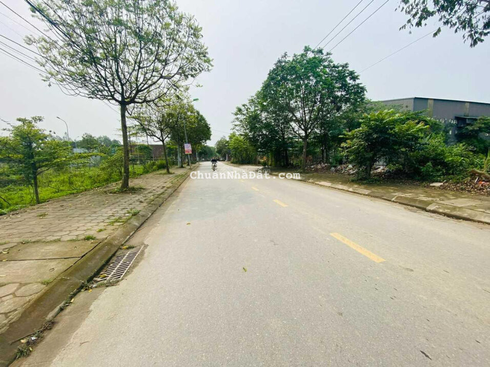 60m2 lô góc khu đất dịch vụ ngôi nhà mới tại thị trấn Quốc Oai giá cắt lỗ hơn lúc mua 500tr