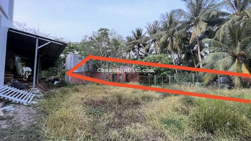 Đất Trần Thủ Độ 8x65, 209 thổ, sổ hồng, phù hợp làm nhà vườn, nhà ở..