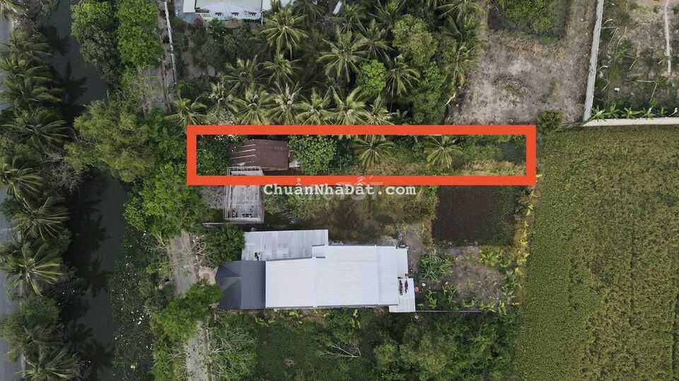 Đất Trần Thủ Độ 8x65, 209 thổ, sổ hồng, phù hợp làm nhà vườn, nhà ở..