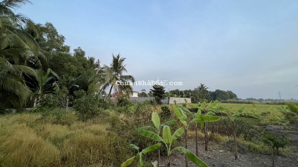 Đất Trần Thủ Độ 8x65, 209 thổ, sổ hồng, phù hợp làm nhà vườn, nhà ở..