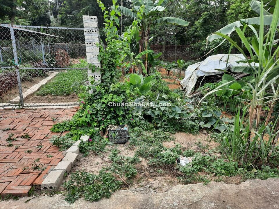 Đất của nhà cần bán gấp với giá rẻ chỉ hơn 5tr/m, đg ô tô đỗ cửa