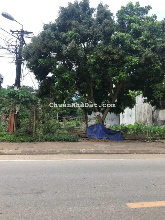 Tôi cần bán gấp mảnh đất diện tích 280m2 tại Xóm Chằm, xã Xuân Sơn, thị xã Sơn Tây Tôi cần bán gấp mảnh đất diện tích 280m2 tại Xóm Chằm, xã Xuân Sơn, thị xã Sơn Tây