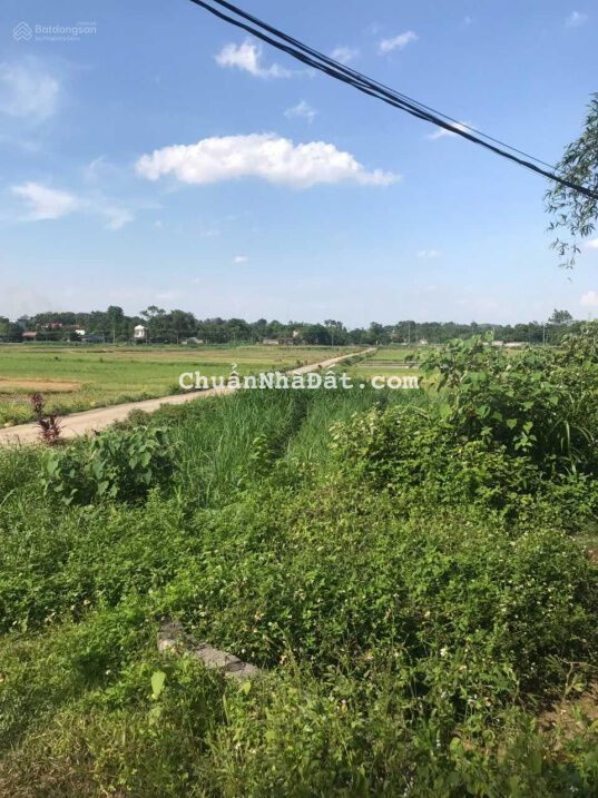 Chính chủ bán gấp lô đất 301m2 khu tái định cư An Sơn, xã Xuân Sơn, thị xã Sơn Tây, Hà Nội