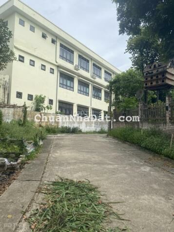 3200 m2 đất, có 250m đất thổ cư và còn lại là đất vườn tại thôn Tam Sơn, Xã Xuân Sơn, Sơn Tây, HN
