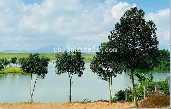 Chỉ 710tr - Tặng 3 chỉ vàng sở hữu lô đất view hồ Đồng Mô đẹp, đối diện dự án SunGroup, sát DT416 Chỉ 710tr - Tặng 3 chỉ vàng sở hữu lô đất view hồ Đồng Mô đẹp, đối diện dự án SunGroup, sát DT416