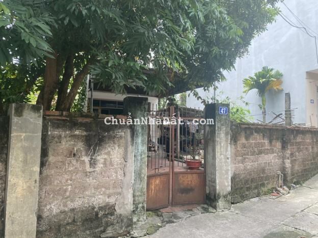 Bán đất tại Phố Thuần Nghệ, Phường Quang Trung, Sơn Tây, Hà Nội diện tích 90m2 giá 30 Triệu/m2 Bán đất tại Phố Thuần Nghệ, Phường Quang Trung, Sơn Tây, Hà Nội diện tích 90m2 giá 30 Triệu/m2