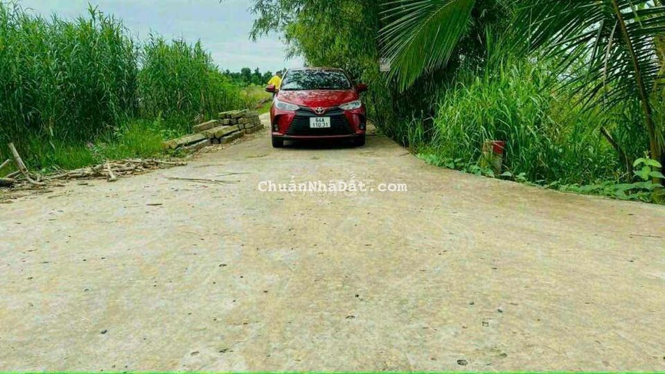 Bán 4 Nền Liền Kề Xã Phú Thịnh - Tam Bình - Vĩnh Long Bán 4 Nền Liền Kề Xã Phú Thịnh - Tam Bình - Vĩnh Long