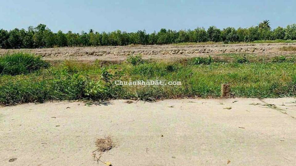 Bán 4 Nền Liền Kề Xã Phú Thịnh - Tam Bình - Vĩnh Long Bán 4 Nền Liền Kề Xã Phú Thịnh - Tam Bình - Vĩnh Long