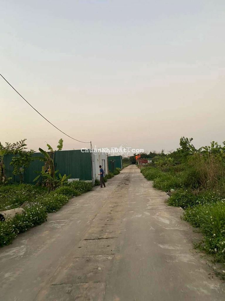 BÁN 11 NHÀ ĐẤT DỰNG XƯỞNG, NHÀ VƯỜN TẠI THANH TRÌ BÁN 11 NHÀ ĐẤT DỰNG XƯỞNG, NHÀ VƯỜN TẠI THANH TRÌ