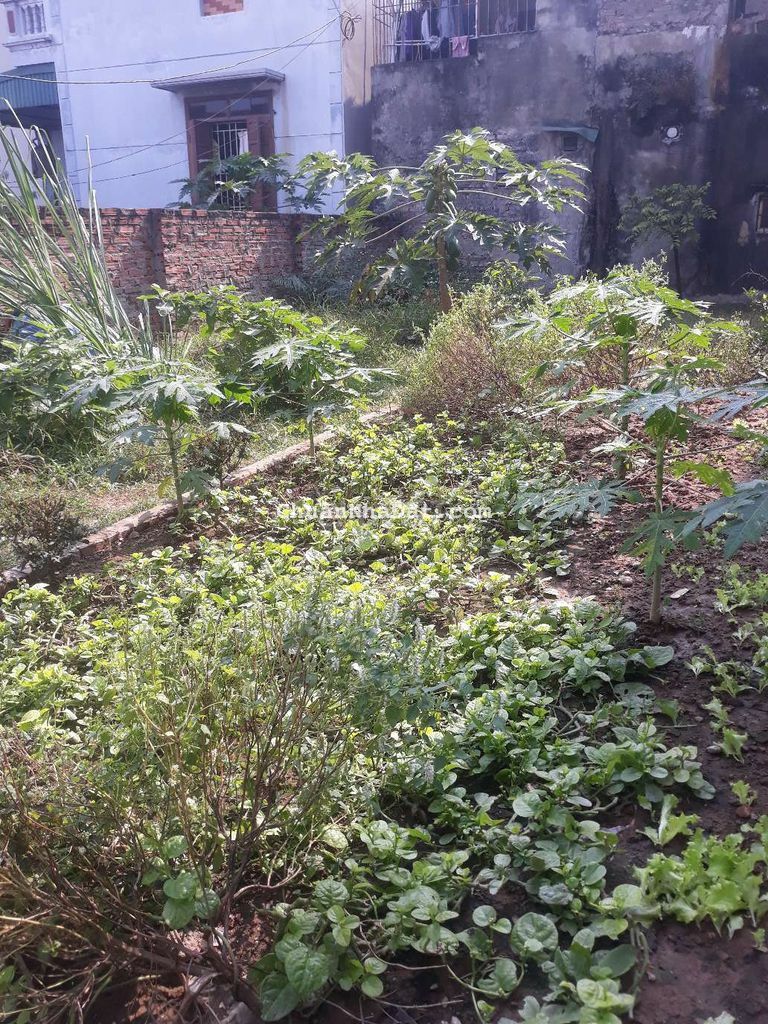 Bán 30m đất siêu quần xã Tả Thanh Oai ô tô đỗ