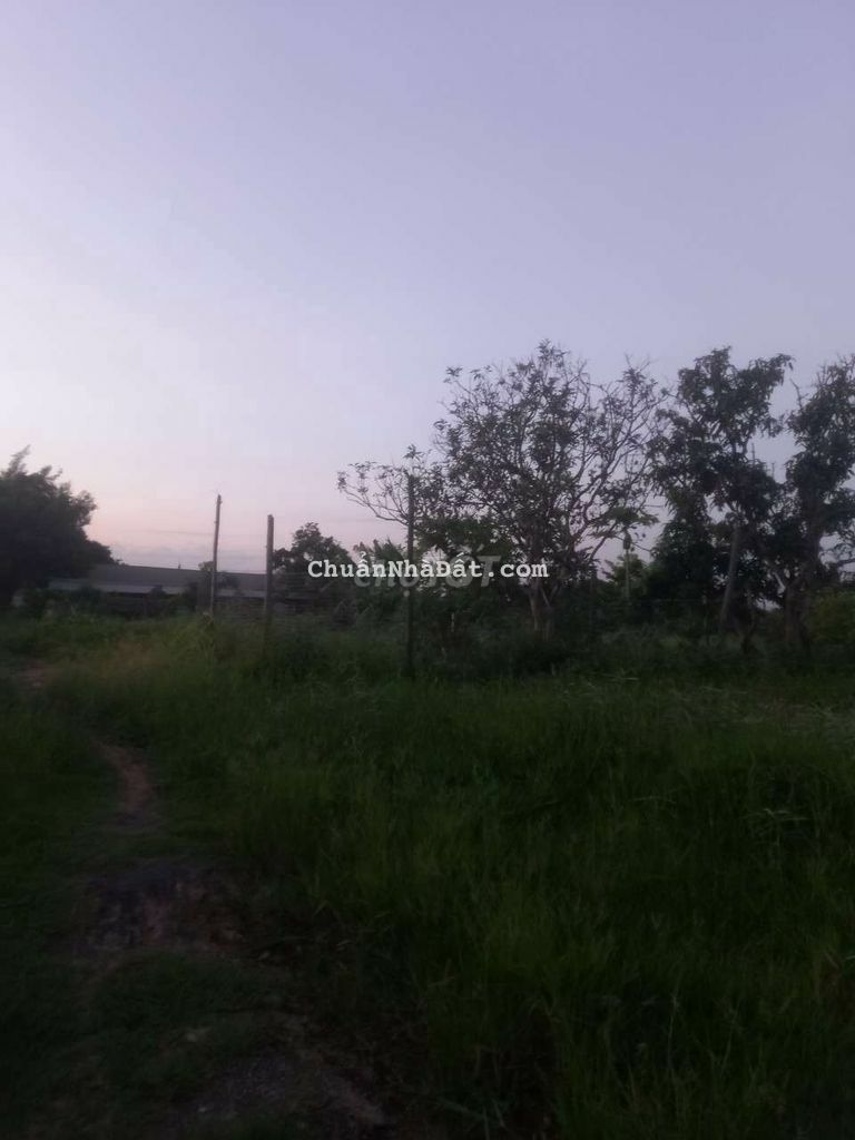 BÁN ĐẤT TẢ THANH OAI, 42m giá 190 triệu BÁN ĐẤT TẢ THANH OAI, 42m giá 190 triệu