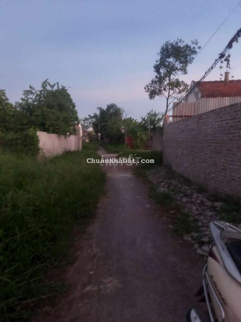 BÁN ĐẤT TẢ THANH OAI, 42m giá 190 triệu BÁN ĐẤT TẢ THANH OAI, 42m giá 190 triệu