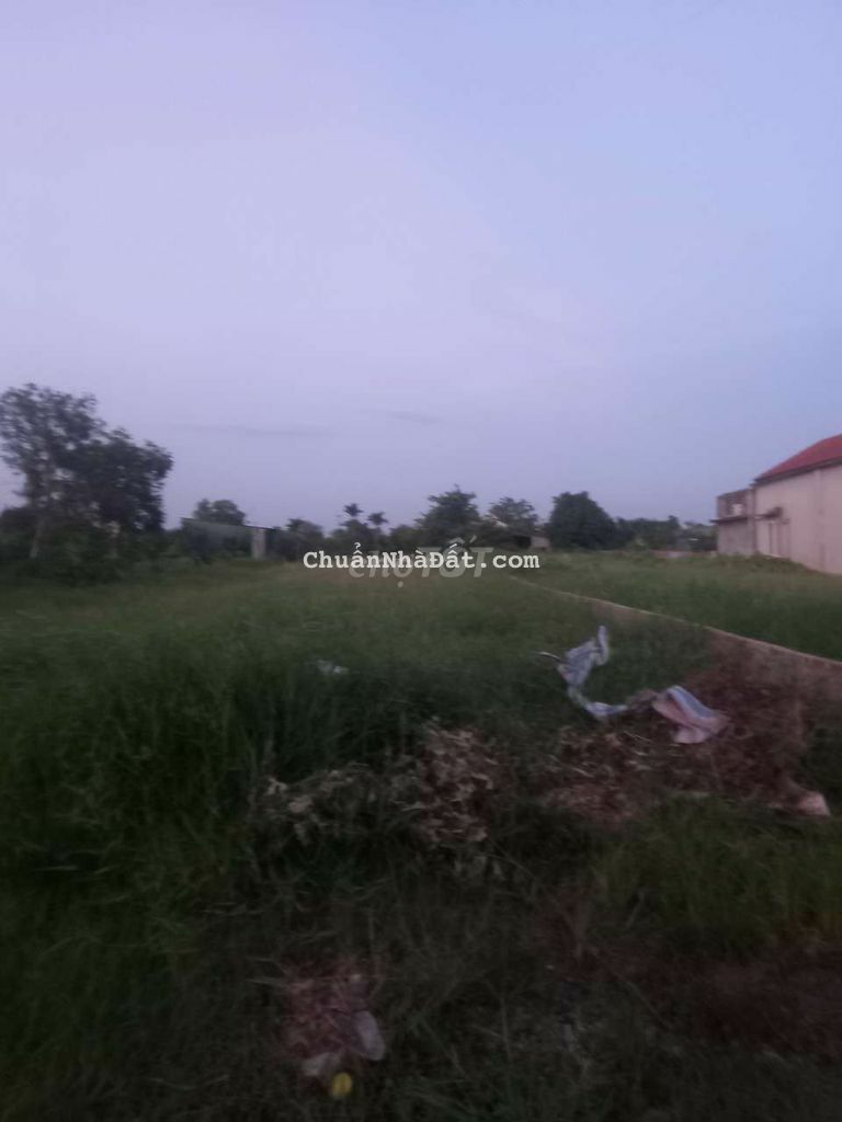 BÁN ĐẤT TẢ THANH OAI, 42m giá 190 triệu BÁN ĐẤT TẢ THANH OAI, 42m giá 190 triệu