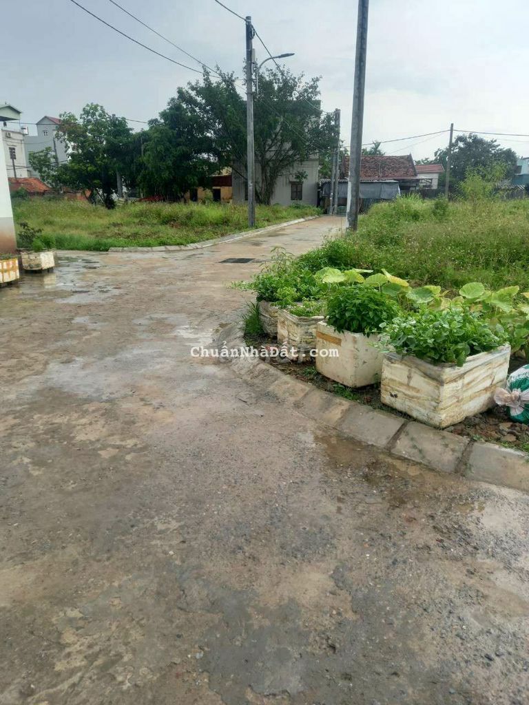 CC BÁN ĐẤT ĐẤU GIÁ SIÊU QUẦN, TẢ THANH OAI, ô tô CC BÁN ĐẤT ĐẤU GIÁ SIÊU QUẦN, TẢ THANH OAI, ô tô