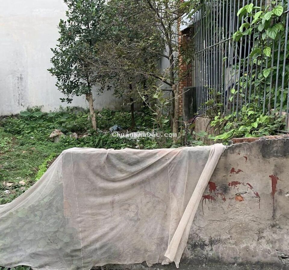 Đất phân lô, vew hồ Quang Lai, Thanh Trì 52m 3.75t