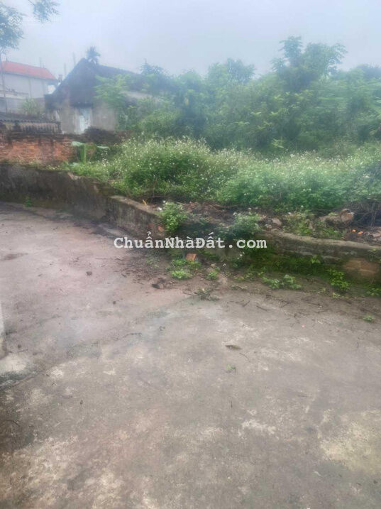 Bán 60m2 đất Đông Mỹ, Thanh Trì, MT 5m, 2.5 tỷ