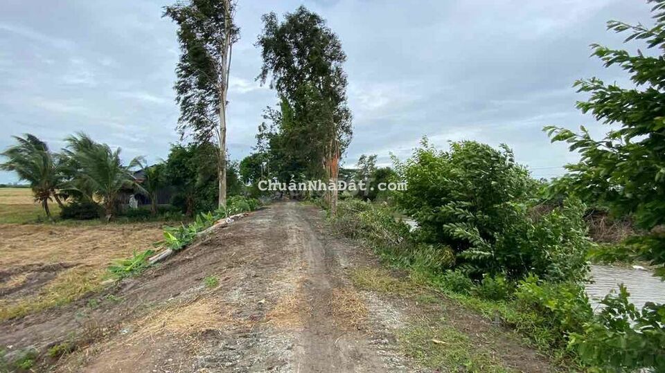 Bán hơn 6 công đất kênh cây còng - gần chợ Vĩnh Khánh