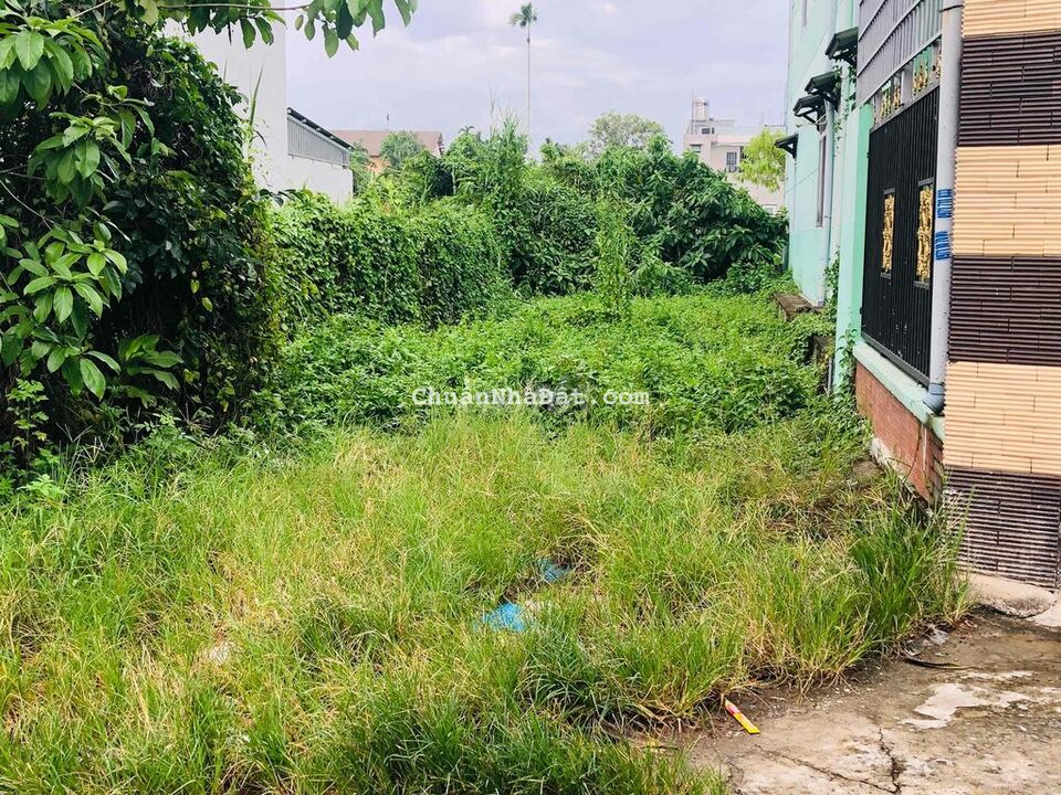 BÁN ĐẤT BN36 GẦN CHỢ BÚNG: 145m tc 60m