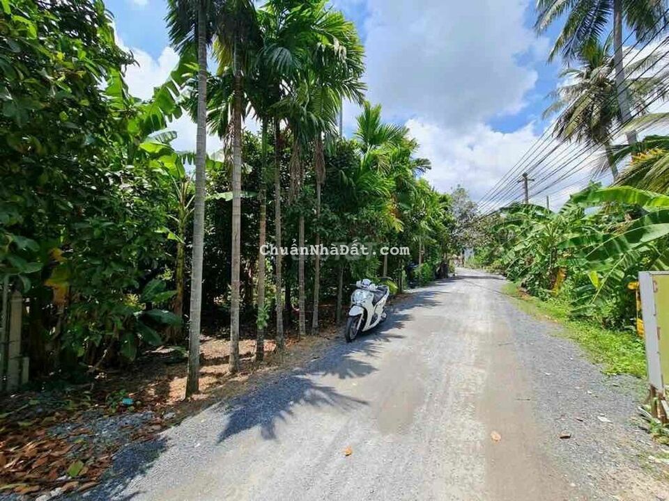 BÁN GẤP MT AN SƠN 01: 280m tc 100